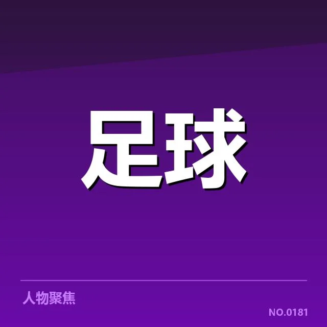 已确认的建设项目与具体进展情况